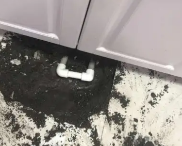 金口河查漏水哪家好